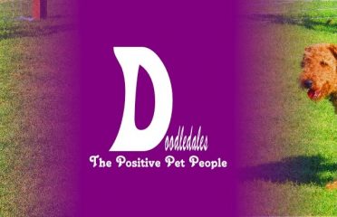 Doodledales. The Positive Pet People
